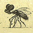 cetateanul12
